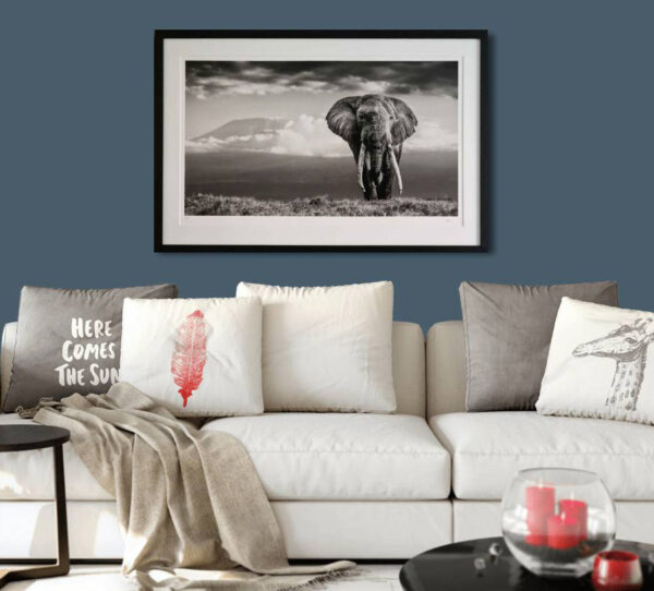 Buy William Fortescue wildlife photograph African Elephant Michael Limited Edition inroom