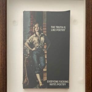 The Connor Brothers vintage woman jeans americana satirical poetry contemporary figurative retro framed book